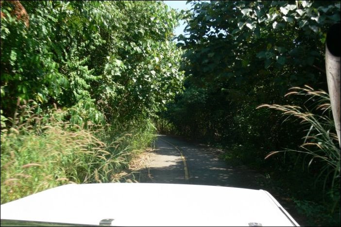 Проблема на дороге