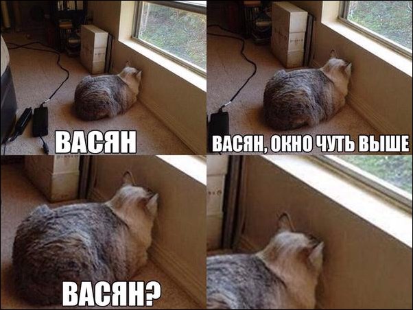 Комиксы и карикатуры