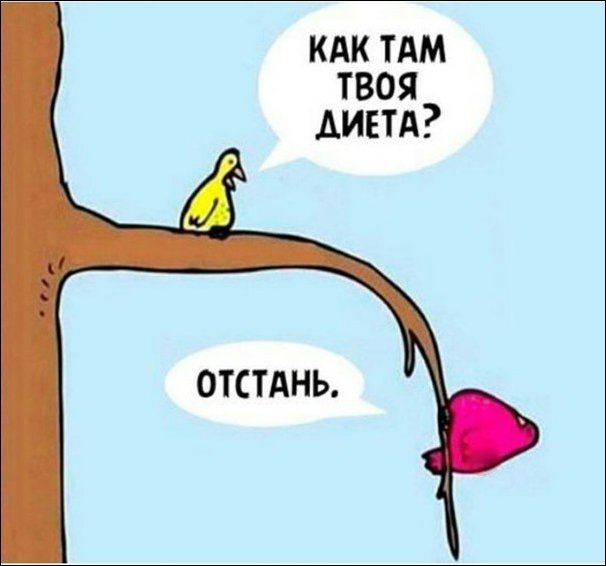 Комиксы и карикатуры