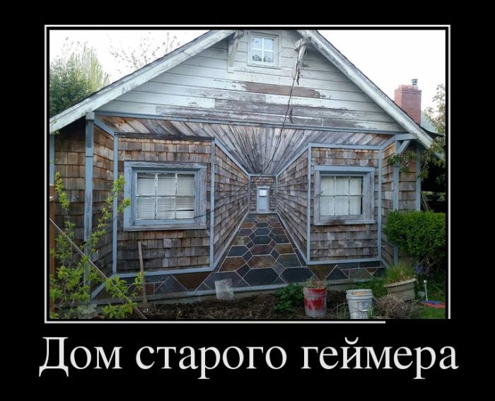 Демотиватор