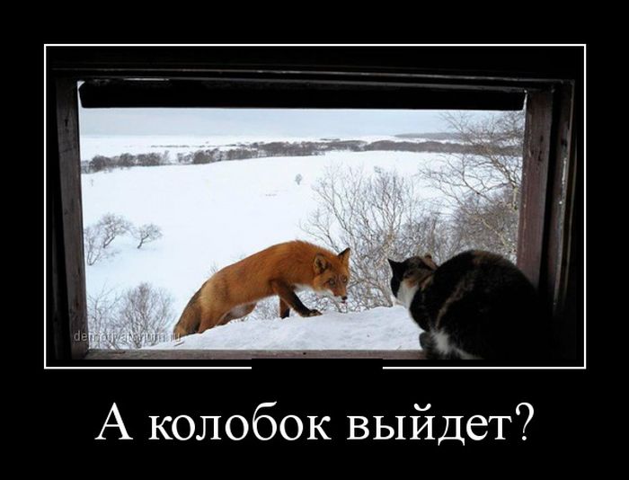 Демотиватор