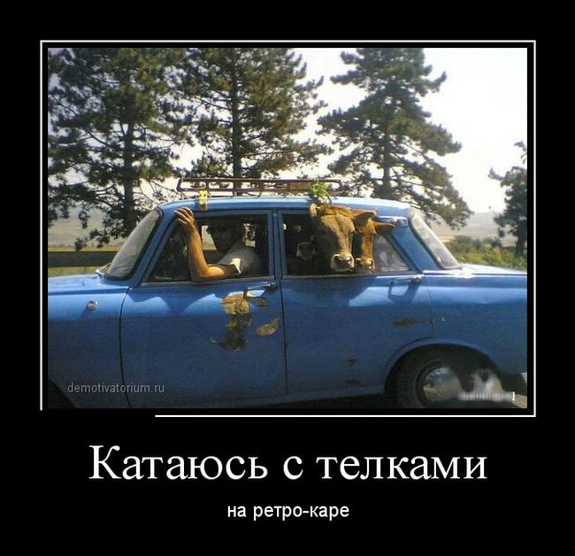 Демотиватор