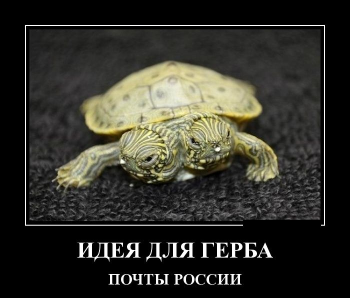 Демотиватор