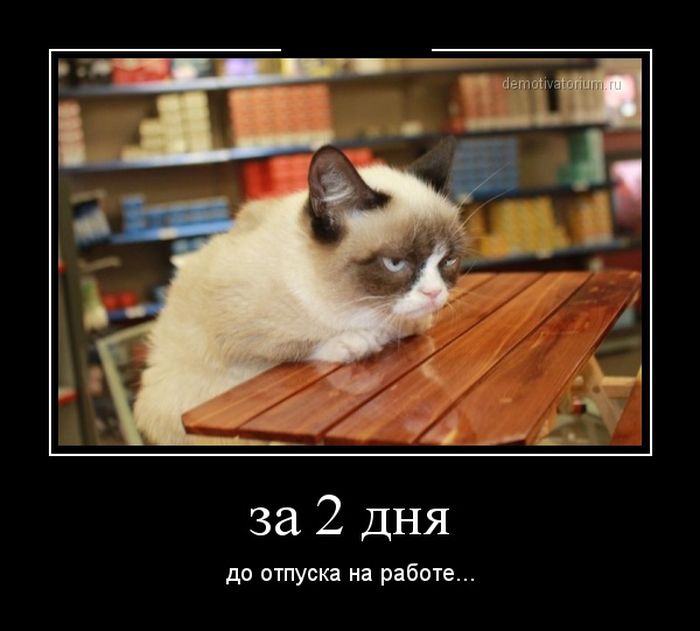 Демотиватор