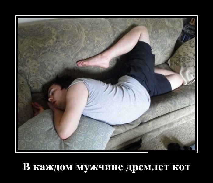 Демотиватор