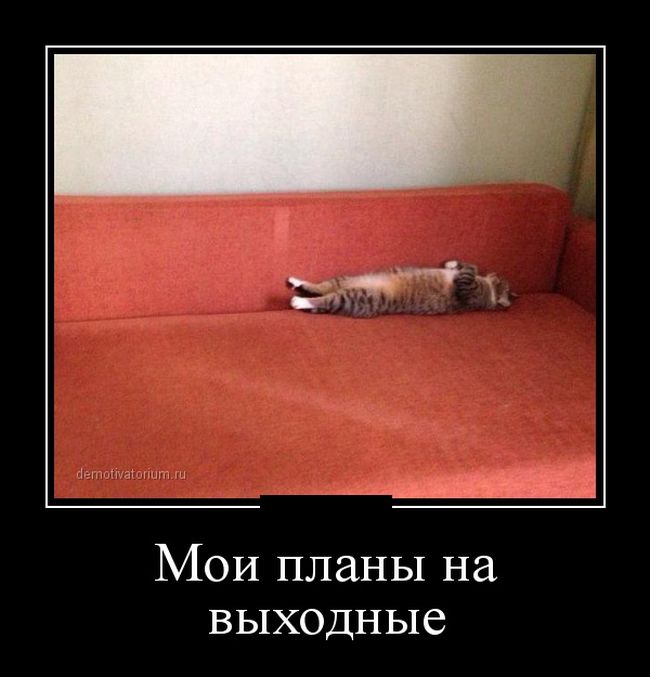 Демотиватор