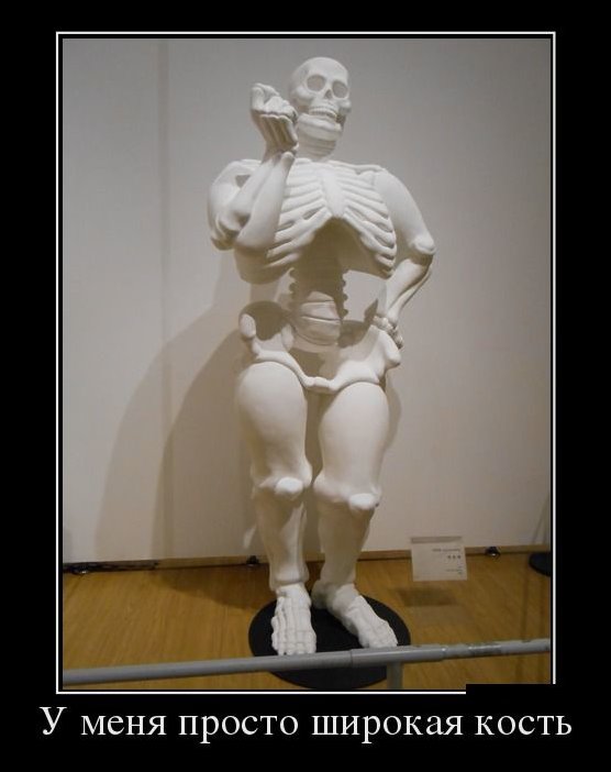 Демотиватор