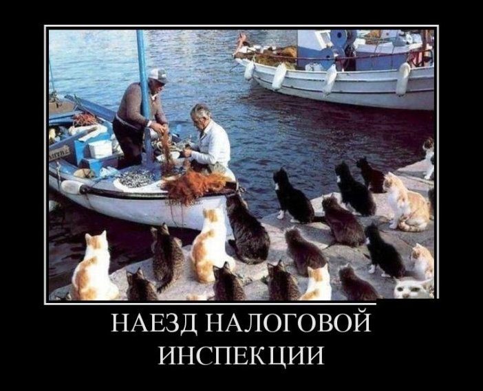 Демотиватор