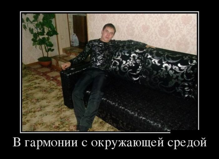 Демотиватор