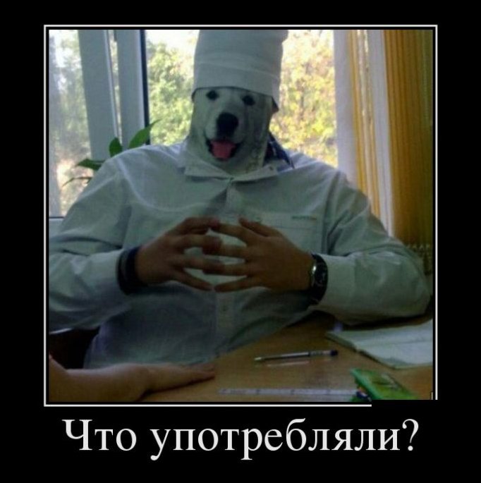 Демотиватор