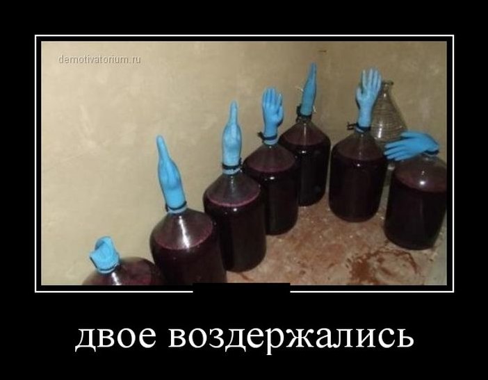 Демотиватор