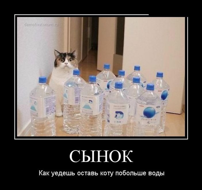 Демотиватор