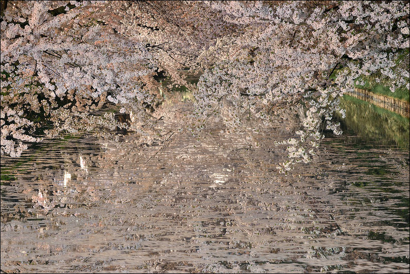 Весна в Аомори