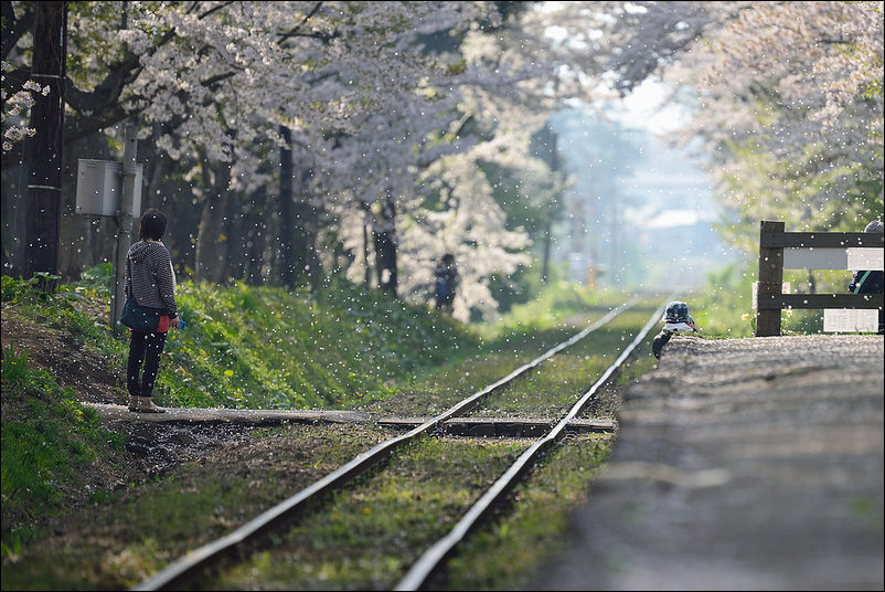 Весна в Аомори