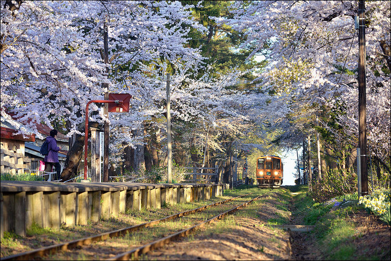Весна в Аомори