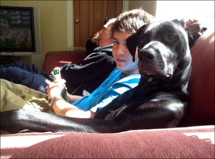 С кем поведешься