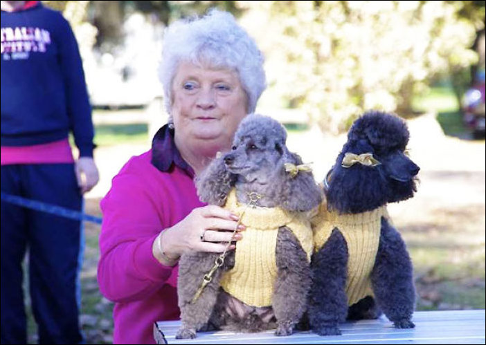 С кем поведешься