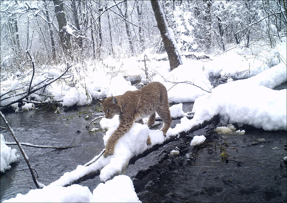 Чернобыль 30 лет спустя