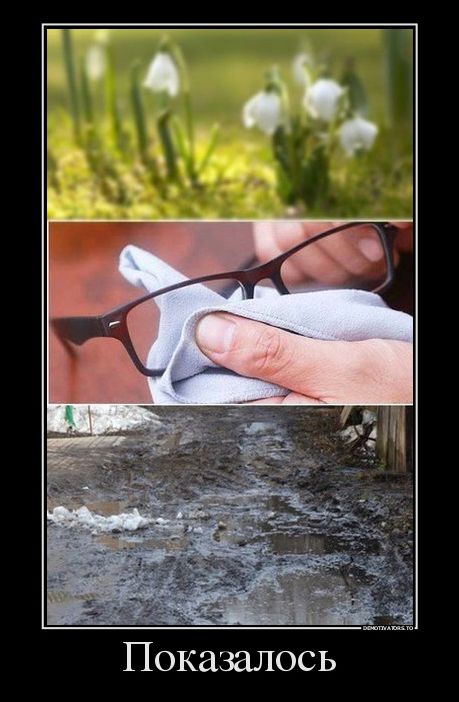 демотиватор