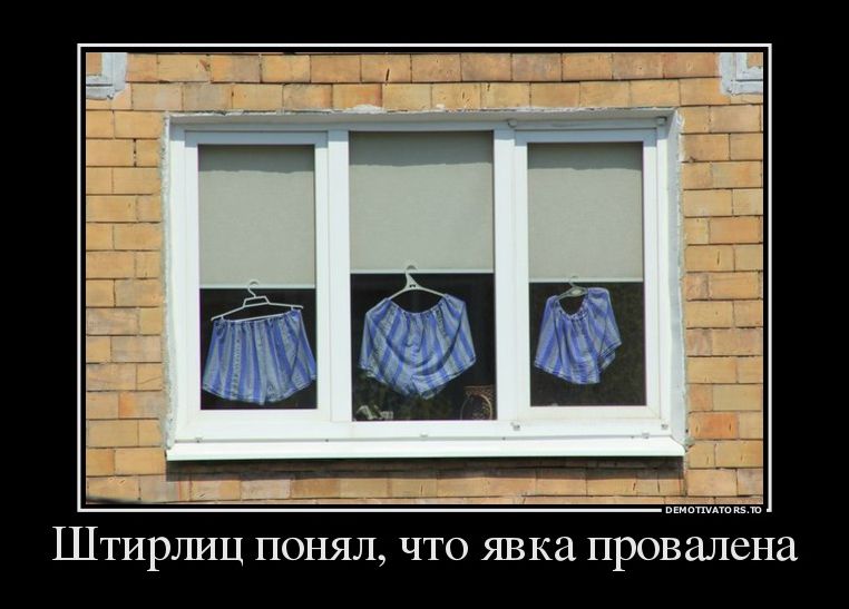 демотиватор