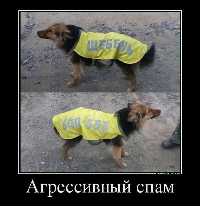 демотиватор