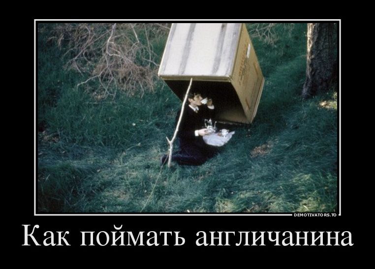 демотиватор