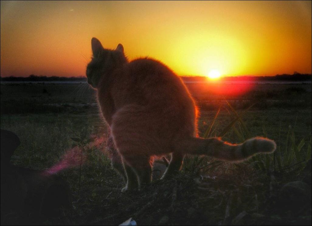 фото приколы