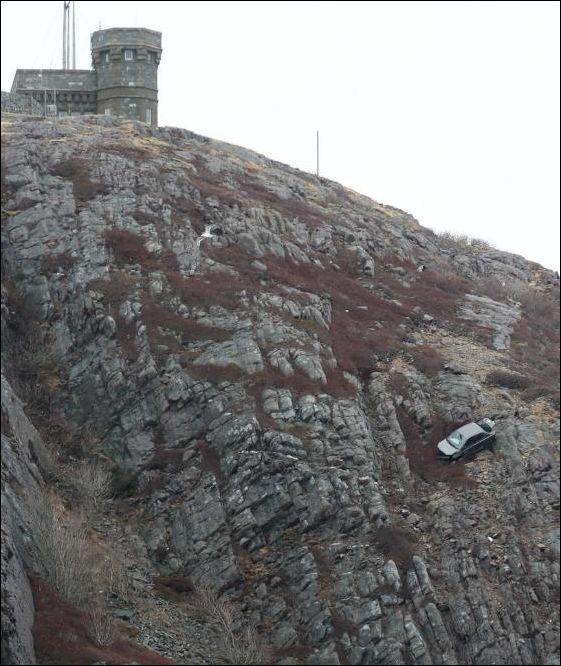 фото приколы