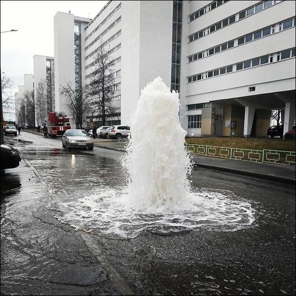 фото приколы