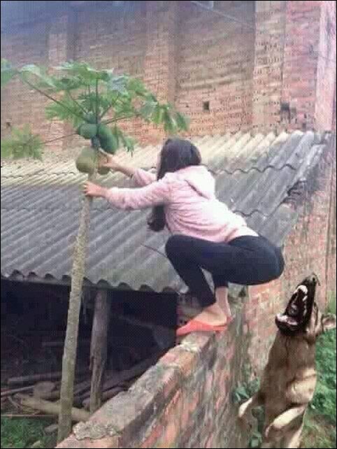 фото приколы