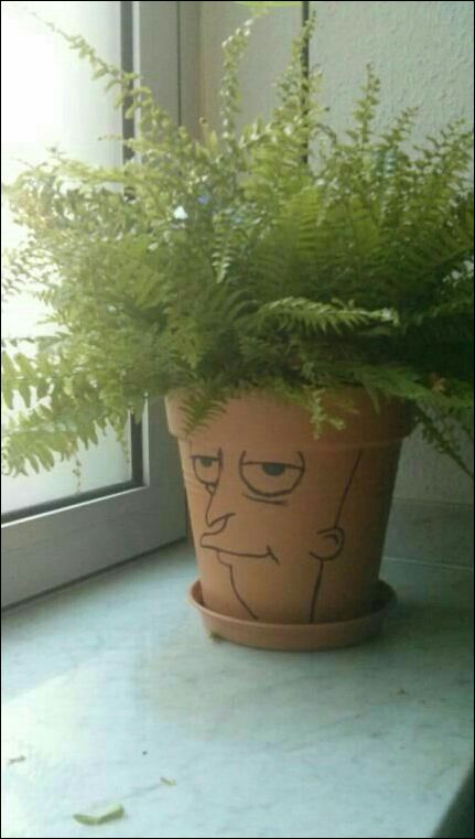 фото приколы