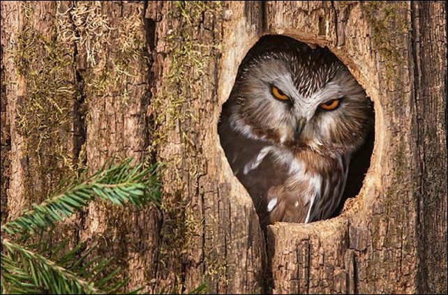 фото приколы