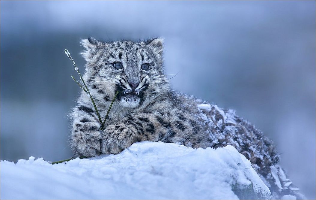 фото приколы