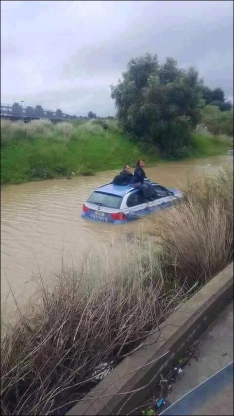 фото приколы