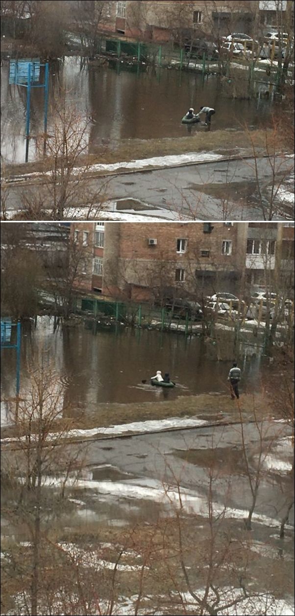 фото приколы