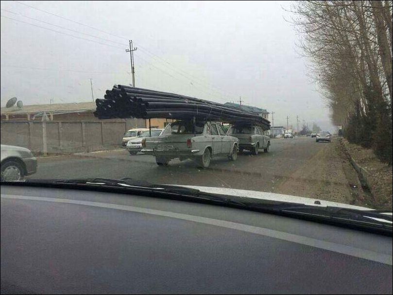 фото приколы