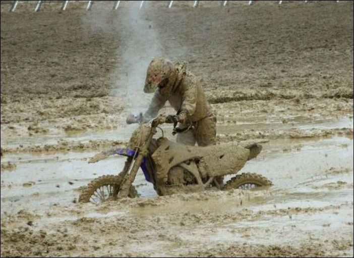 фото приколы