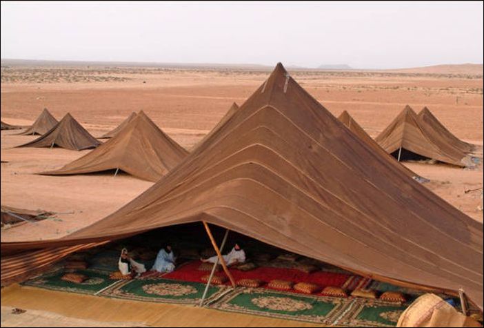 фото приколы