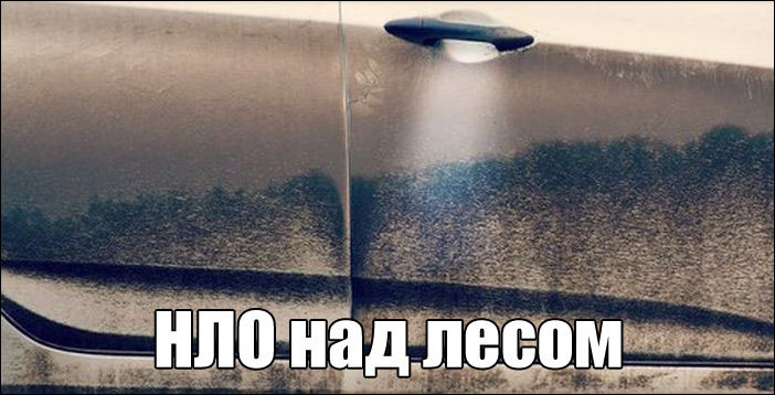 фото приколы