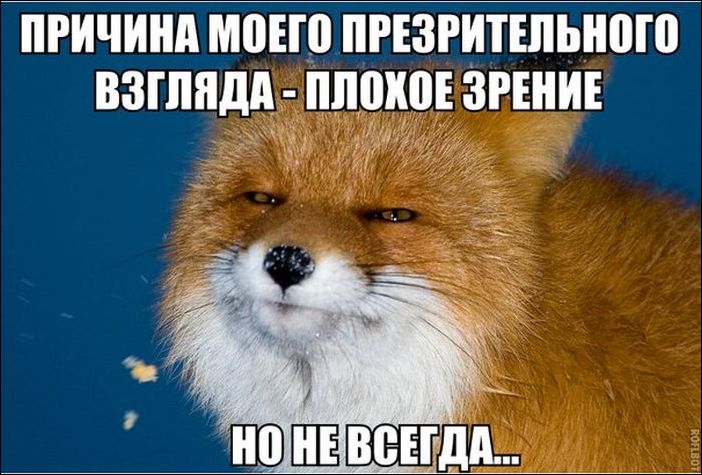 фото приколы