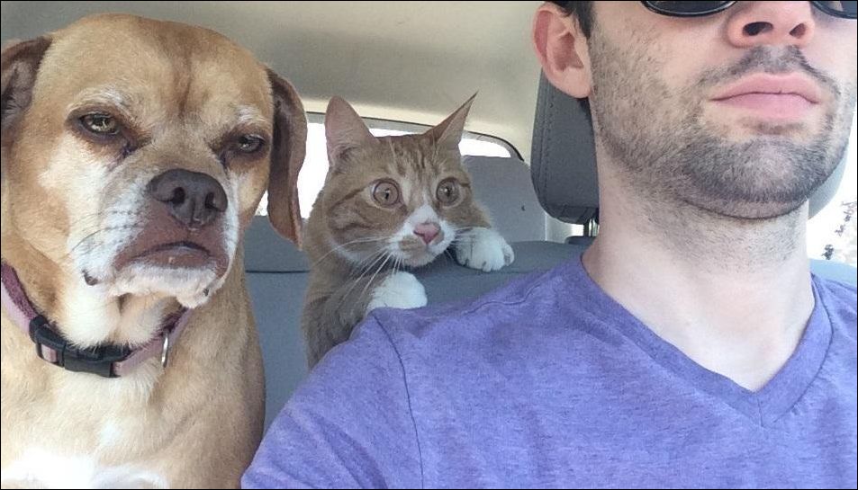 фото приколы