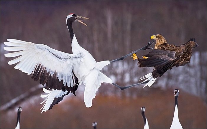 фото приколы