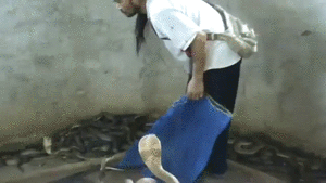 Прикольные гифки