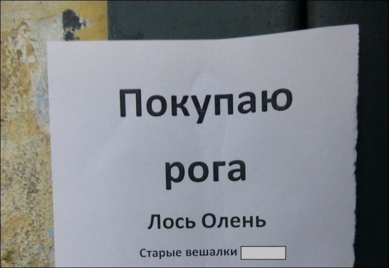 Смешные надписи и объявления