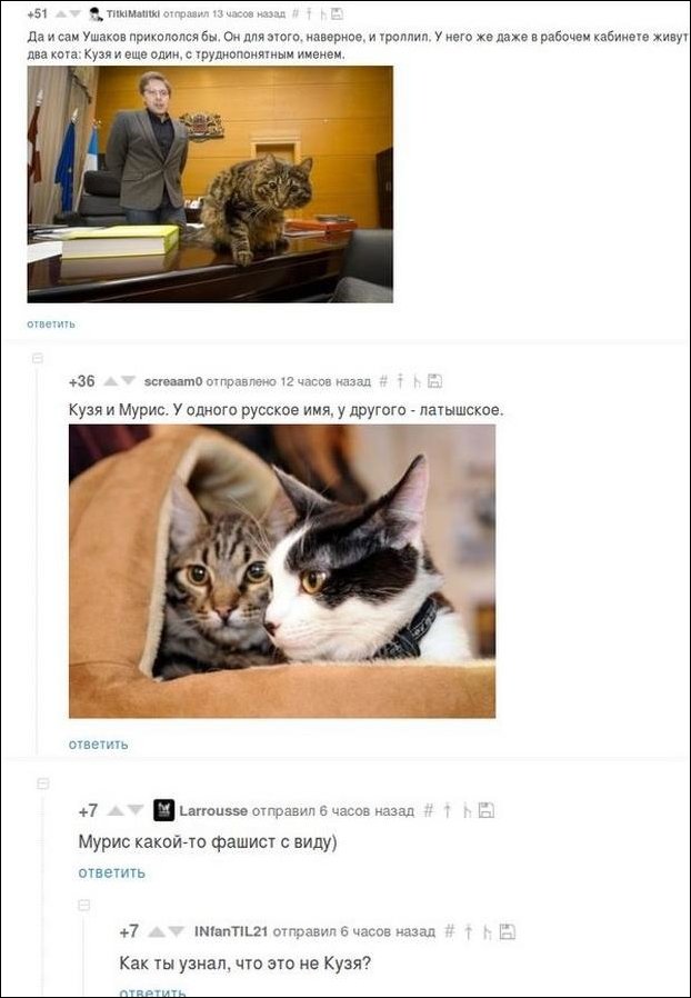 смешные комментарии