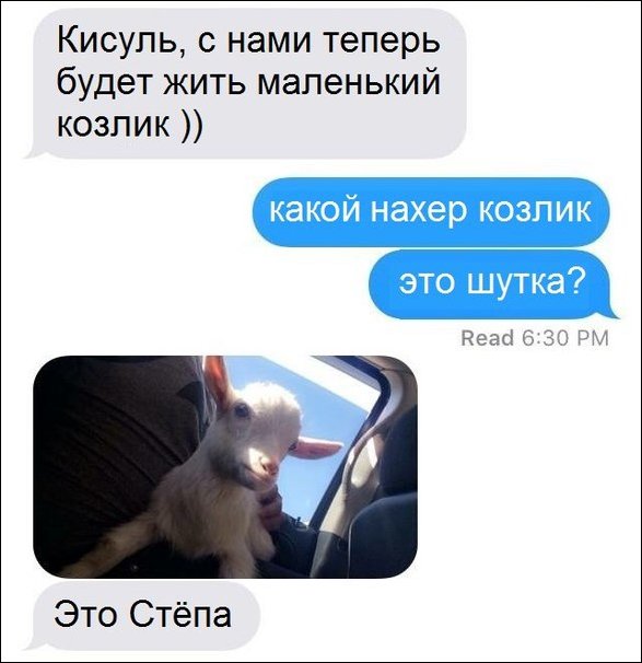смешные комментарии