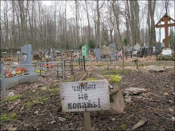 фото приколы