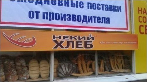 фото приколы