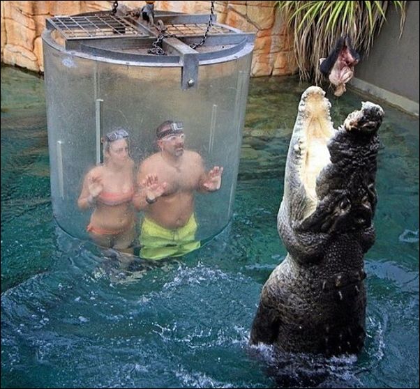 фото приколы