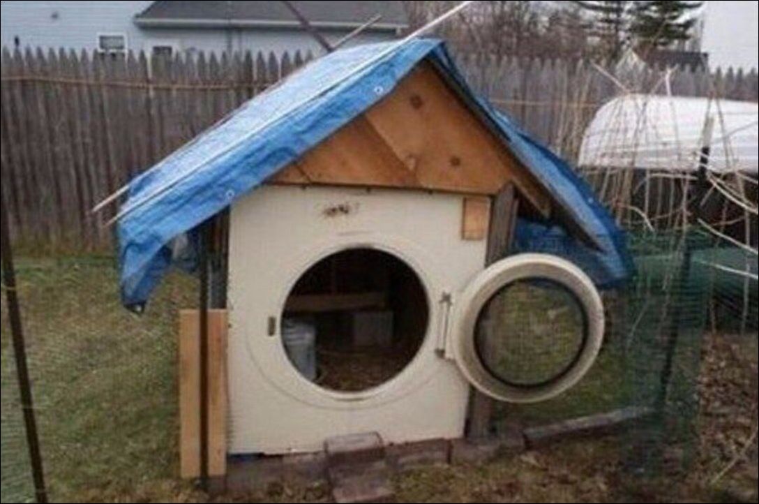 фото приколы